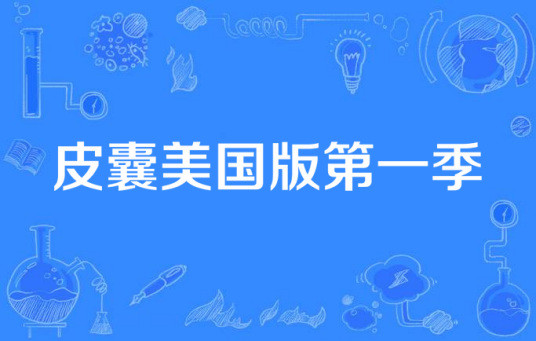 皮囊美国版第一季