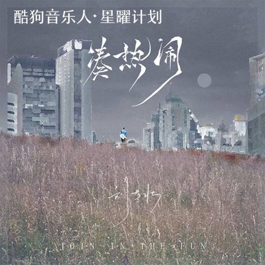 凑热闹（刘大壮演唱歌曲）