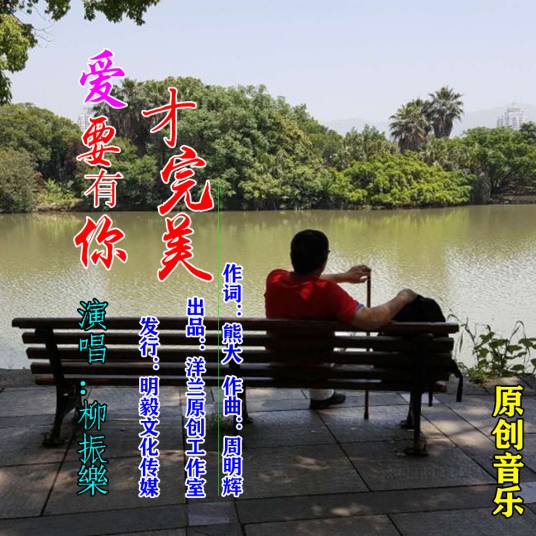 爱要有你才完美（柳振乐演唱歌曲）
