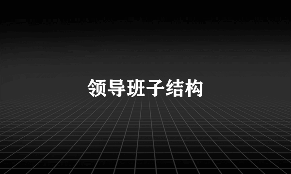 领导班子结构