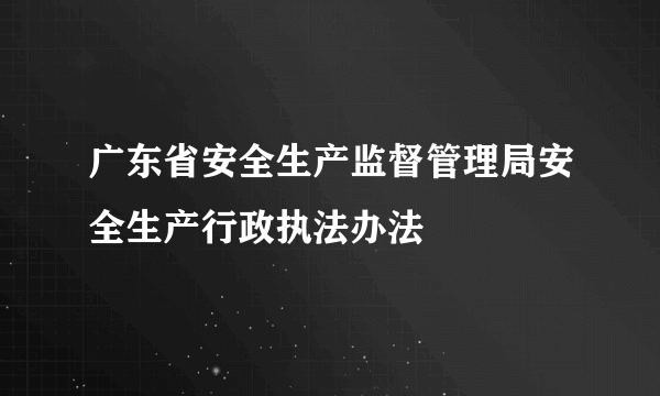广东省安全生产监督管理局安全生产行政执法办法
