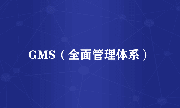 GMS（全面管理体系）