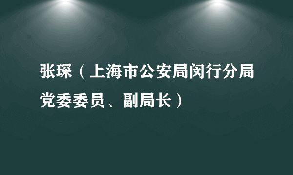 张琛（上海市公安局闵行分局党委委员、副局长）