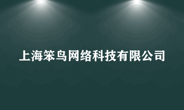 上海笨鸟网络科技有限公司