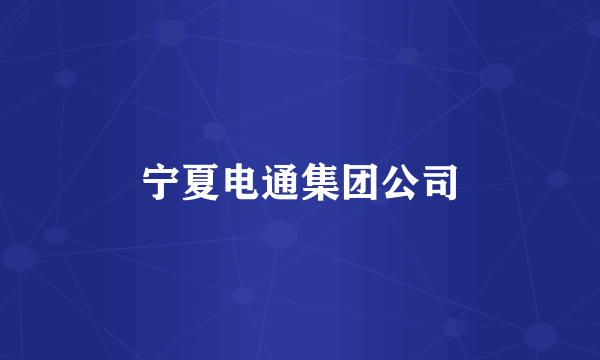 宁夏电通集团公司