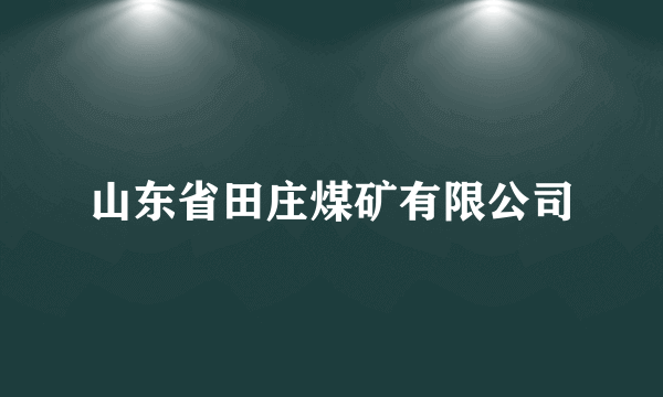 山东省田庄煤矿有限公司