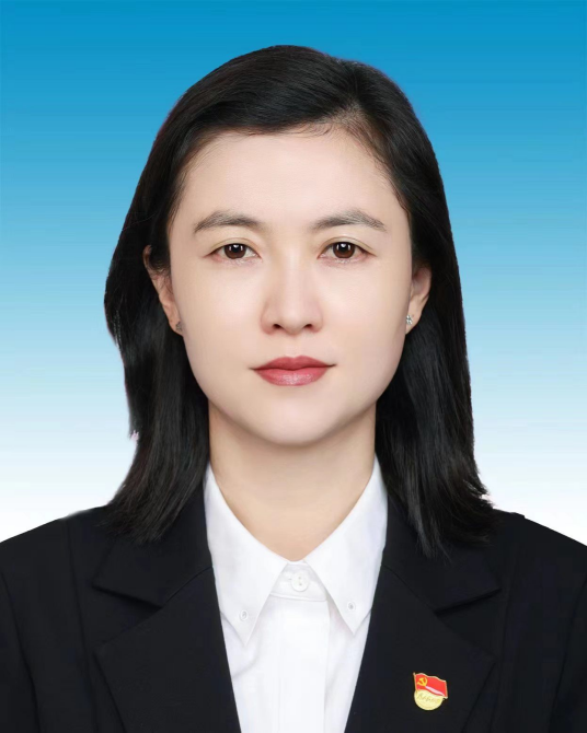 丁玲（云南省临沧市广播电视局副局长）