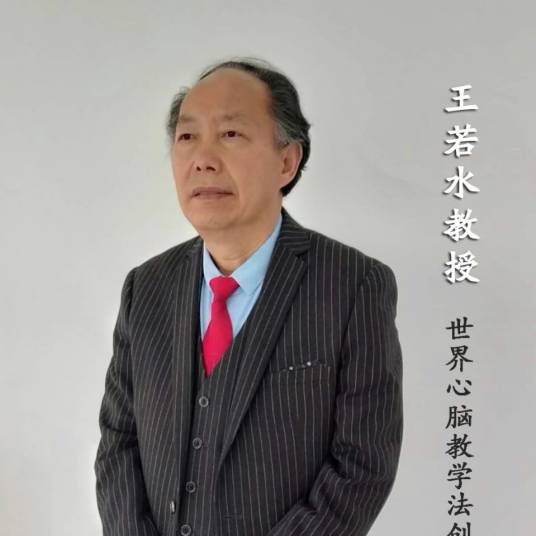 王若水（心脑教学法创始人）