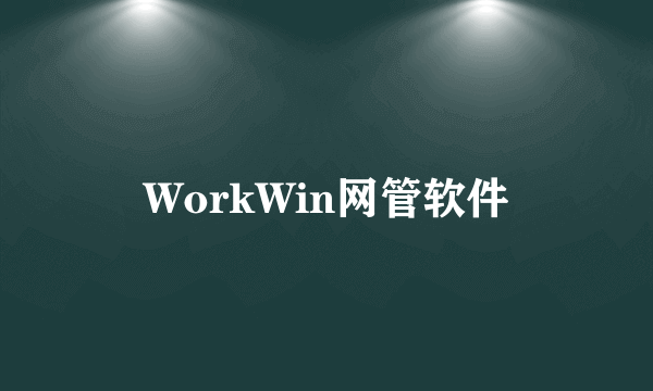 WorkWin网管软件