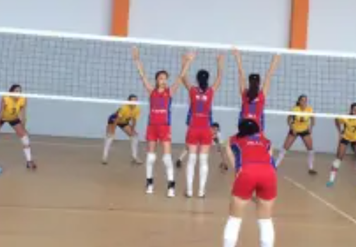 2014年世界中学生女排锦标赛