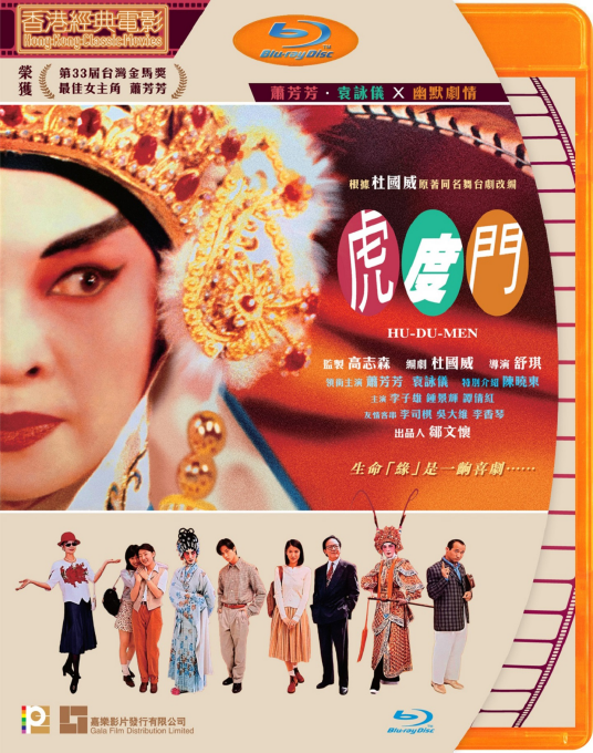 虎度门（1996年舒琪执导电影）