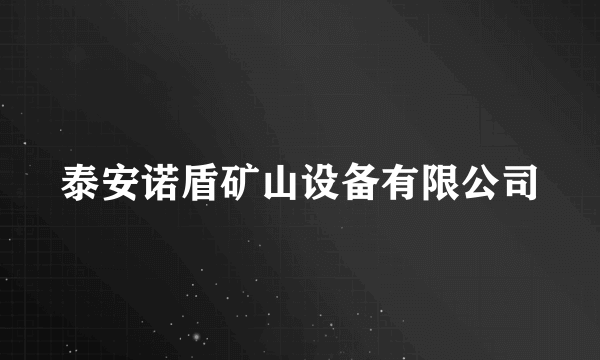 泰安诺盾矿山设备有限公司
