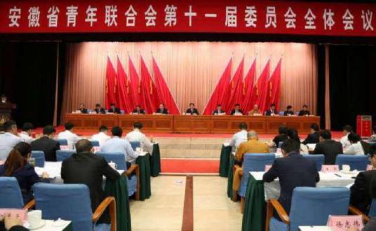 安徽省青年联合会