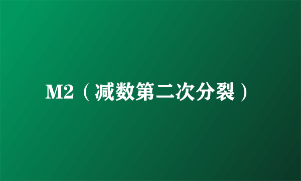 M2（减数第二次分裂）