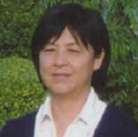田心（天津医科大学生物医学工程系教授）