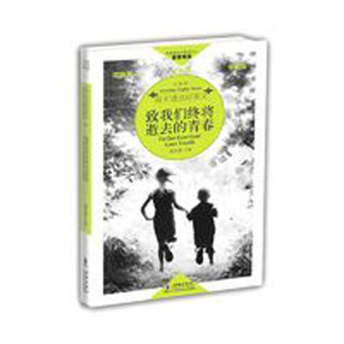 致我们终将逝去的青春（2010年海豚出版社出版的图书）