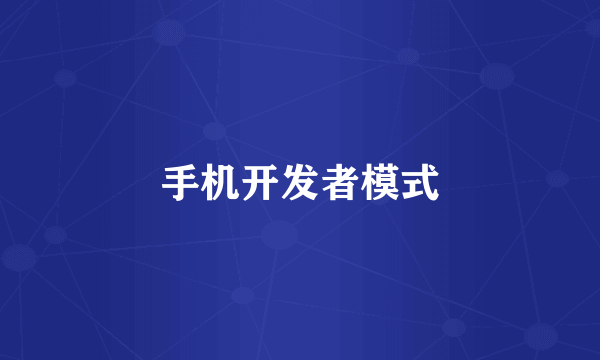 手机开发者模式