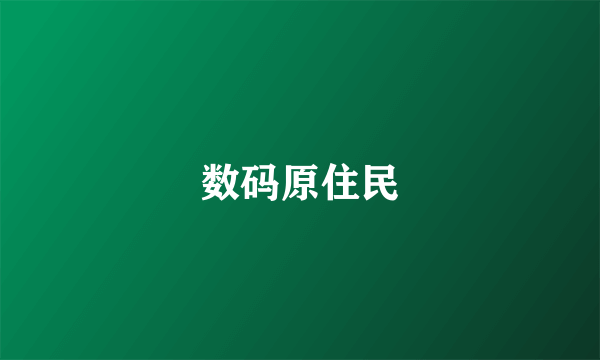 数码原住民