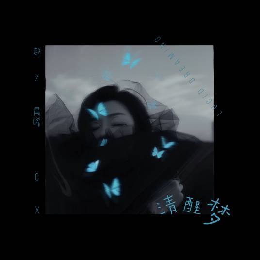 清醒梦（赵晨唏演唱歌曲）