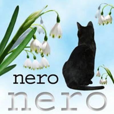 Nero（niconico动画插曲歌手）