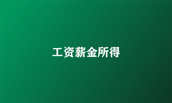 工资薪金所得