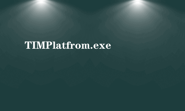 TIMPlatfrom.exe
