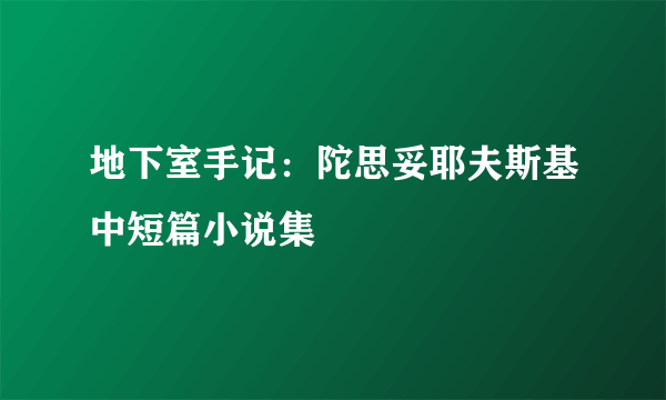 地下室手记：陀思妥耶夫斯基中短篇小说集