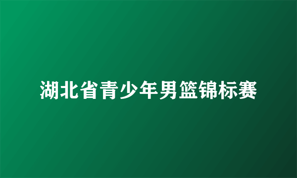 湖北省青少年男篮锦标赛