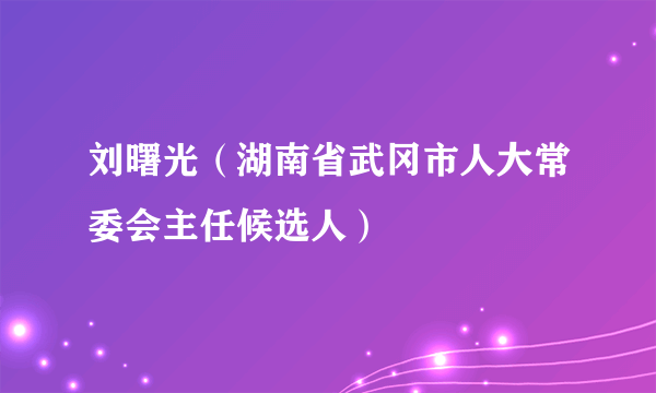 刘曙光（湖南省武冈市人大常委会主任候选人）