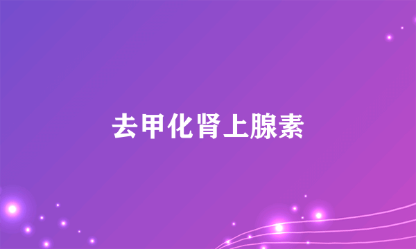 去甲化肾上腺素