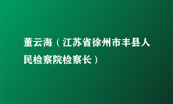 董云海（江苏省徐州市丰县人民检察院检察长）