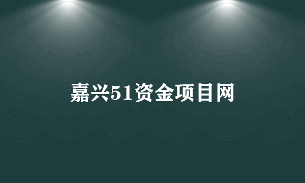 嘉兴51资金项目网