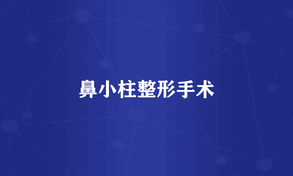 鼻小柱整形手术