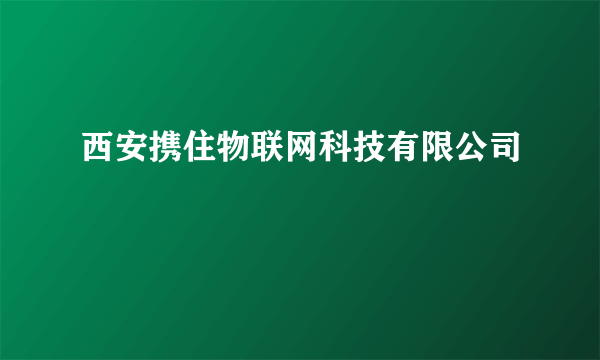 西安携住物联网科技有限公司