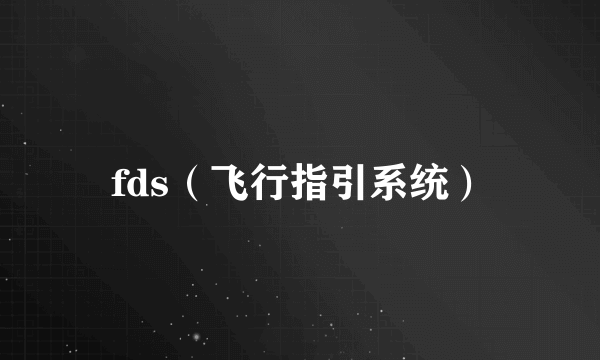 fds（飞行指引系统）