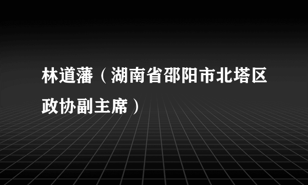 林道藩（湖南省邵阳市北塔区政协副主席）