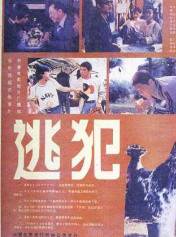 逃犯（1986年李前宽、肖桂云执导电影）