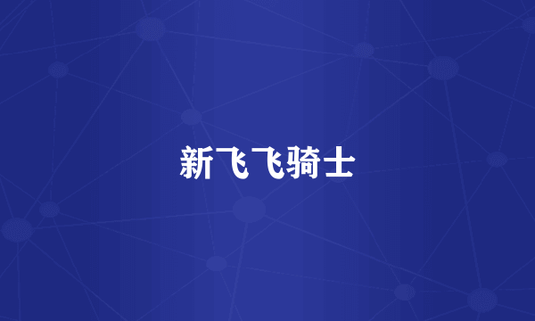 新飞飞骑士