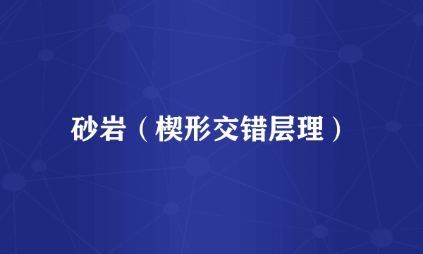 砂岩（楔形交错层理）