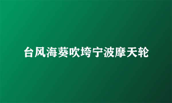 台风海葵吹垮宁波摩天轮