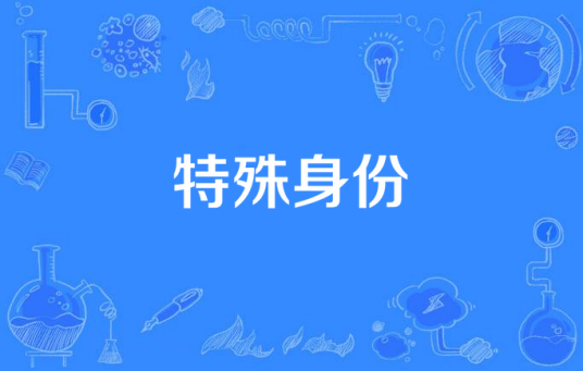 特殊身份（陶玲玲执导电视剧）