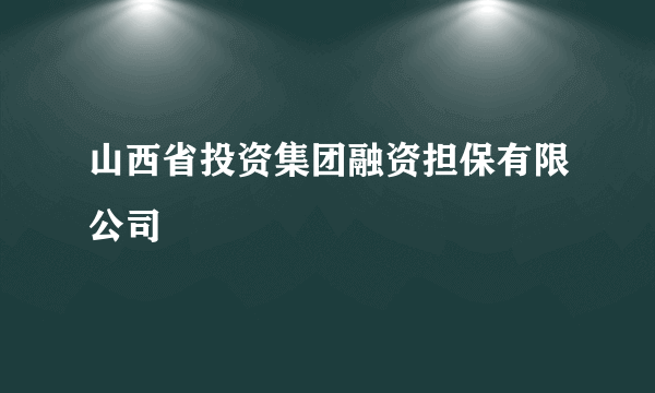 山西省投资集团融资担保有限公司