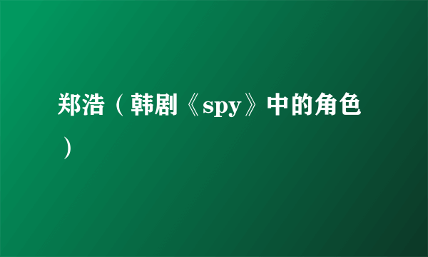 郑浩（韩剧《spy》中的角色）