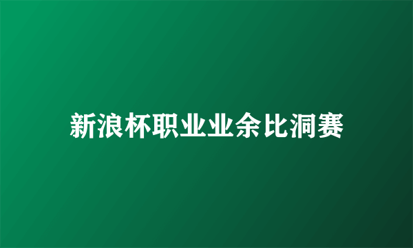 新浪杯职业业余比洞赛