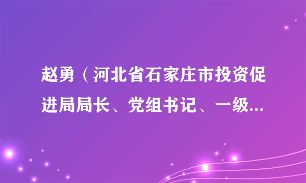 赵勇（河北省石家庄市投资促进局局长、党组书记、一级调研员）