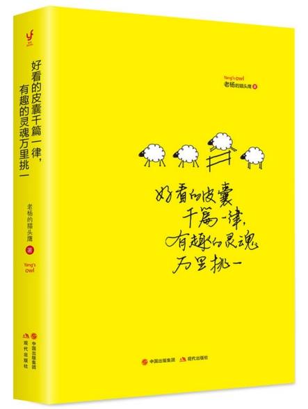 好看的皮囊千篇一律，有趣的灵魂万里挑一（2017年现代出版社出版的图书）