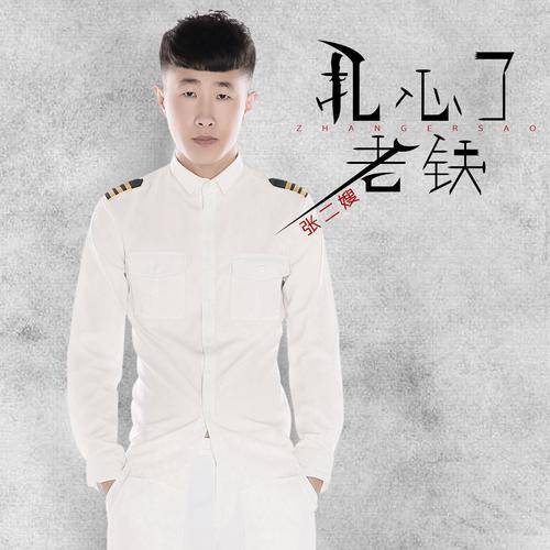 扎心了！老铁（张二嫂演唱歌曲）