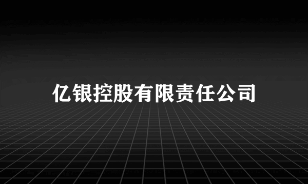亿银控股有限责任公司