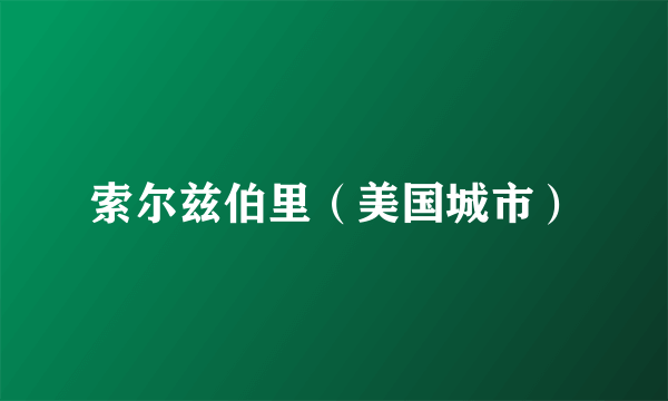 索尔兹伯里（美国城市）