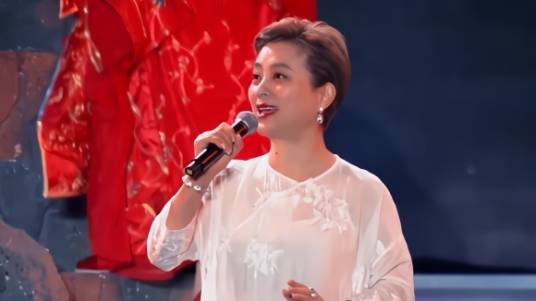 无奈的思绪（李玲玉演唱的歌曲）